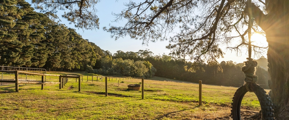 What Is The Emerald Property Market Doing Right Now?